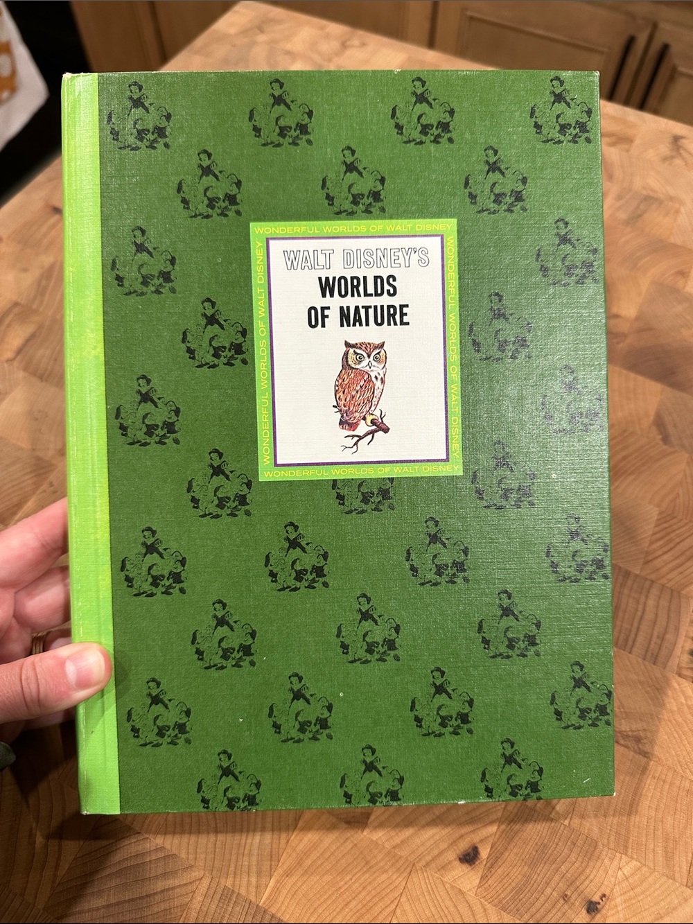 Vintage 1965 Walt Disney Worlds of Nature Book